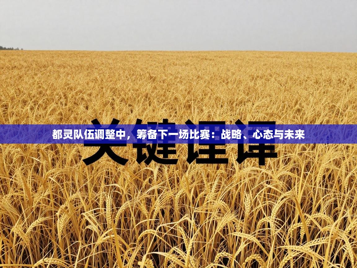 都灵队伍调整中，筹备下一场比赛：战略、心态与未来  第2张